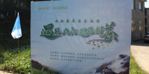 最美人间四月天，只此青绿采茶去！2022“遇见九江 遇见好茶”助力茶产业高质量发展