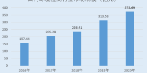 元琛科技：双碳目标导向环保政策支持 产业链延伸打造产品全生命周期服务体系